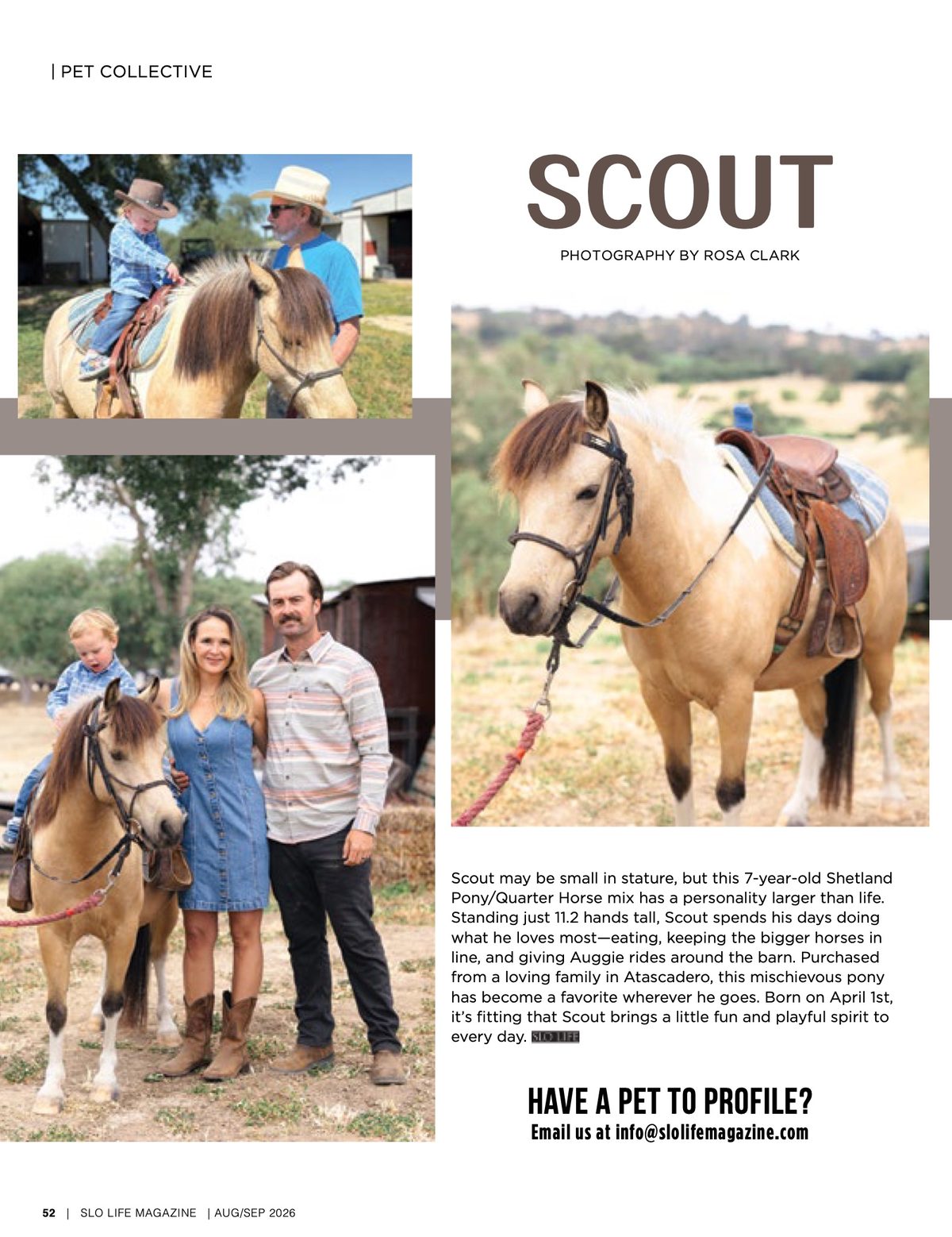 Page 52