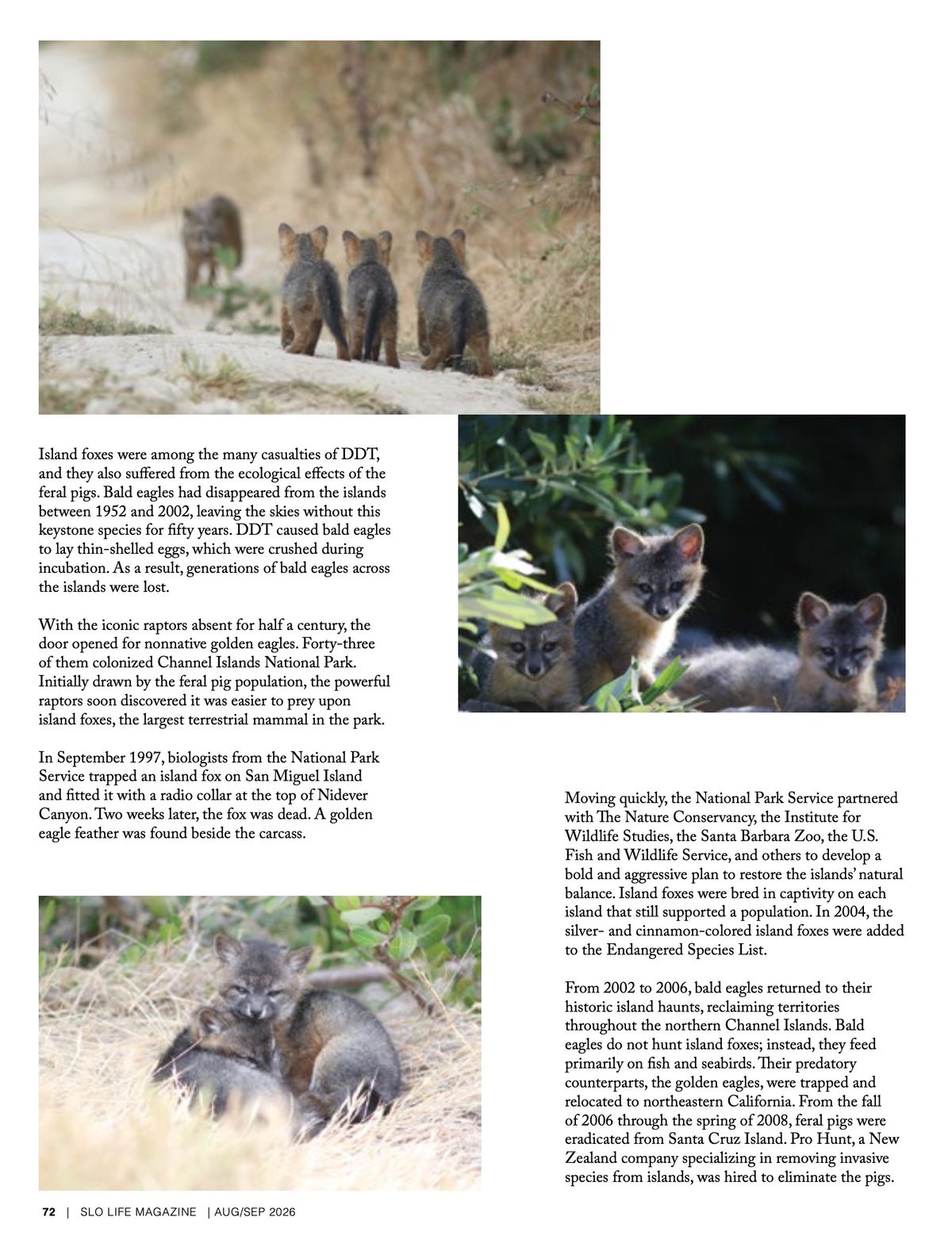 Page 72