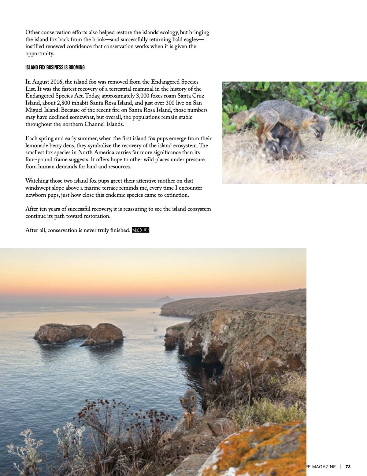 Page 73