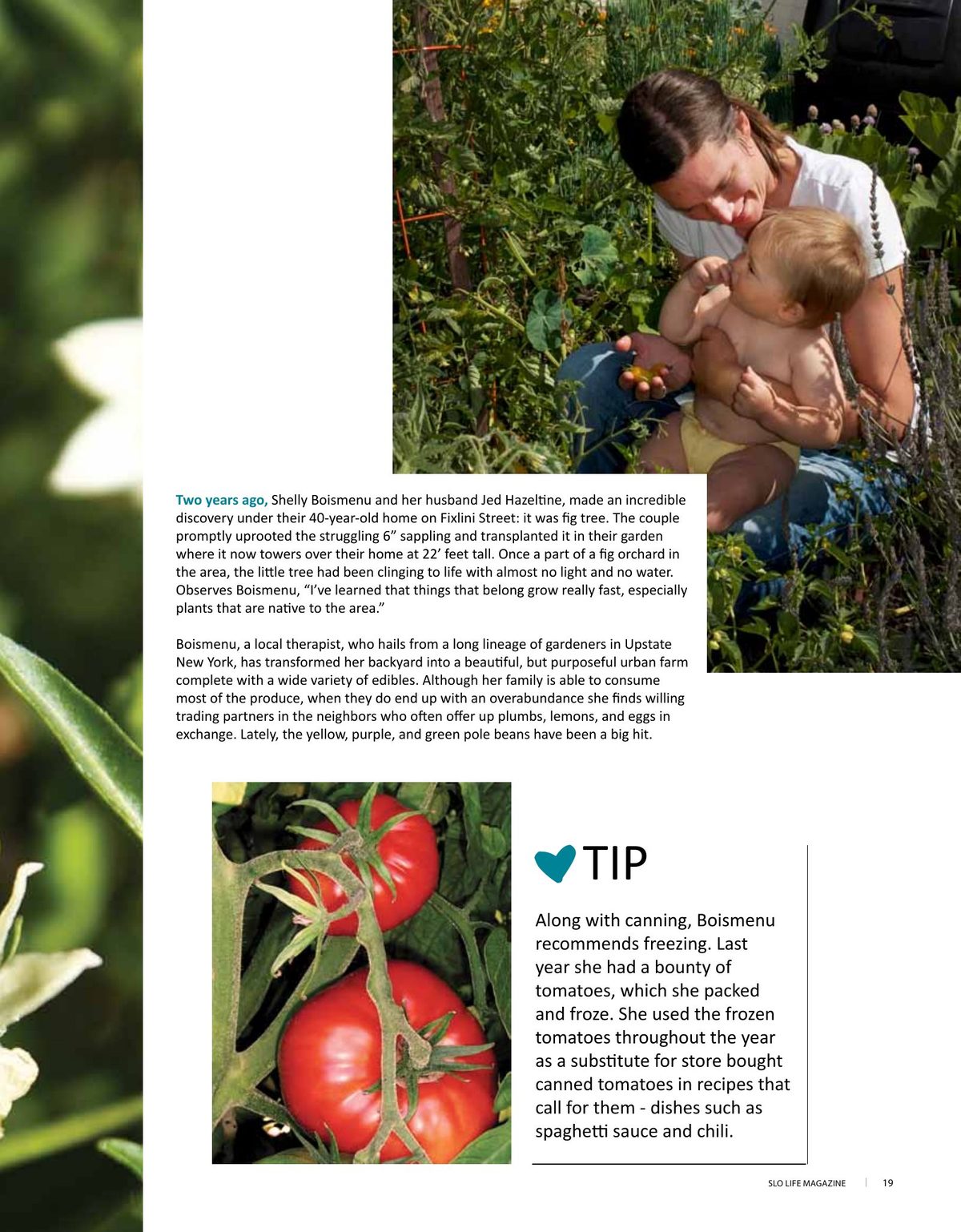 Page 19