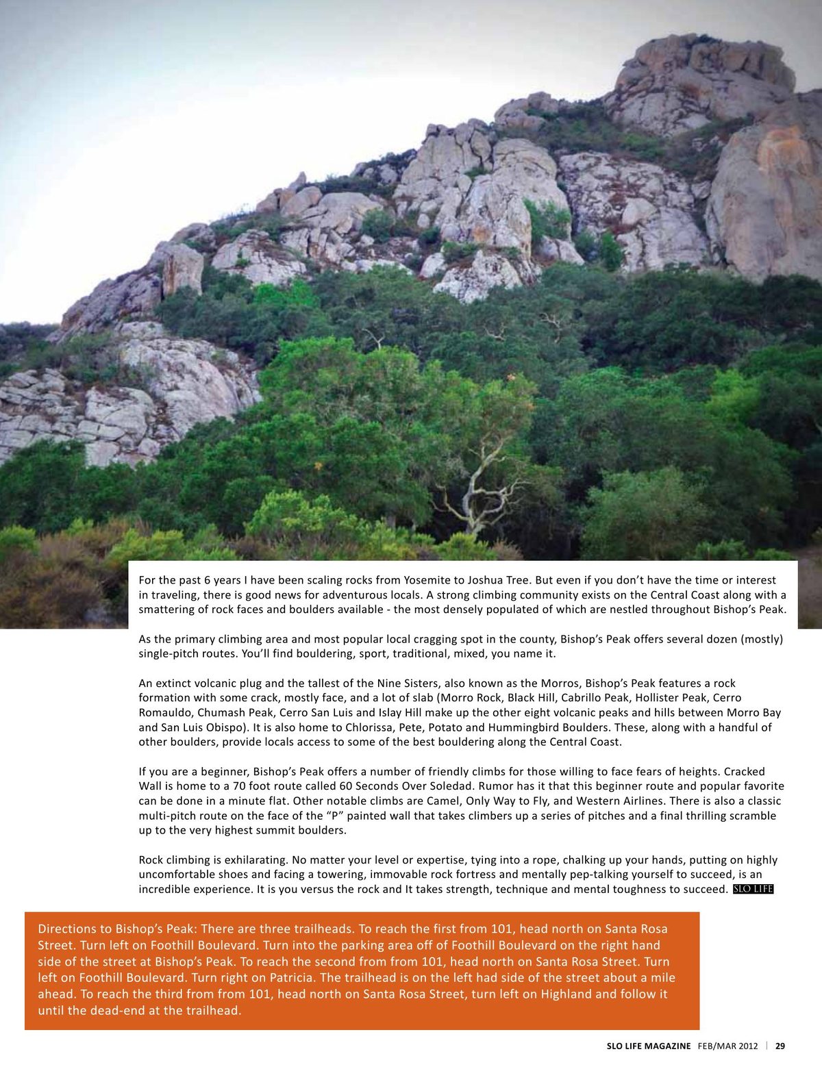 Page 29