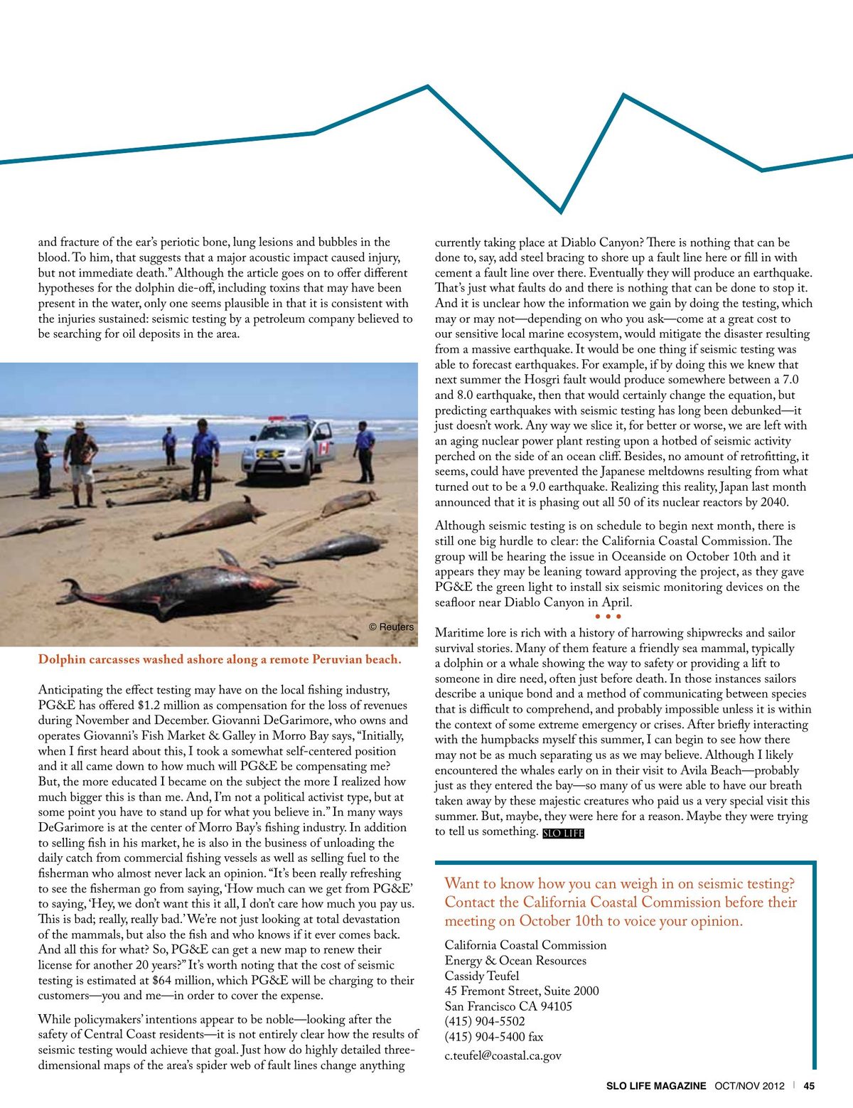Page 45