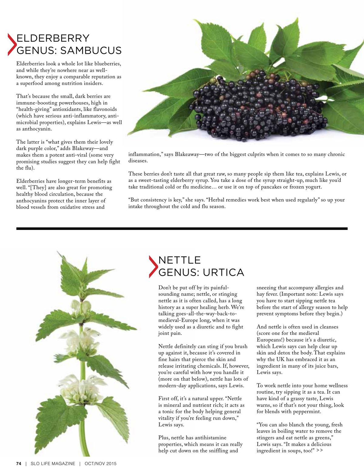 Page 74