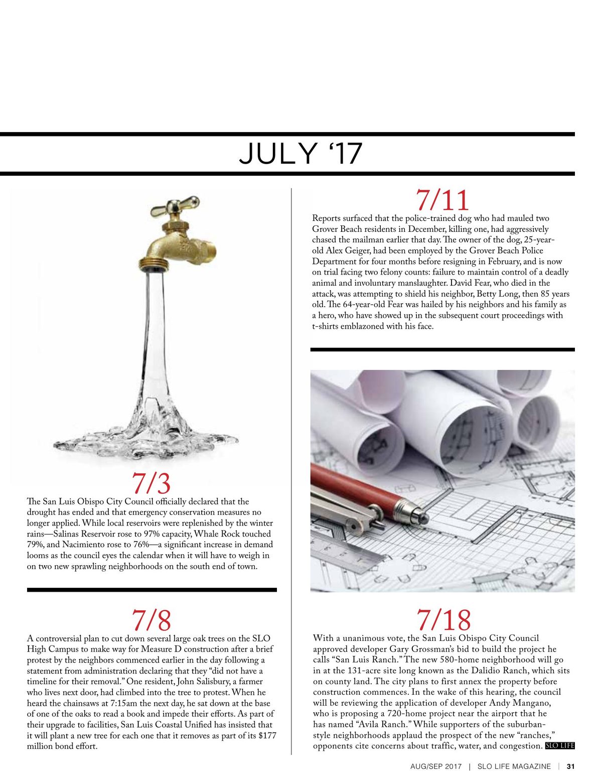 Page 31