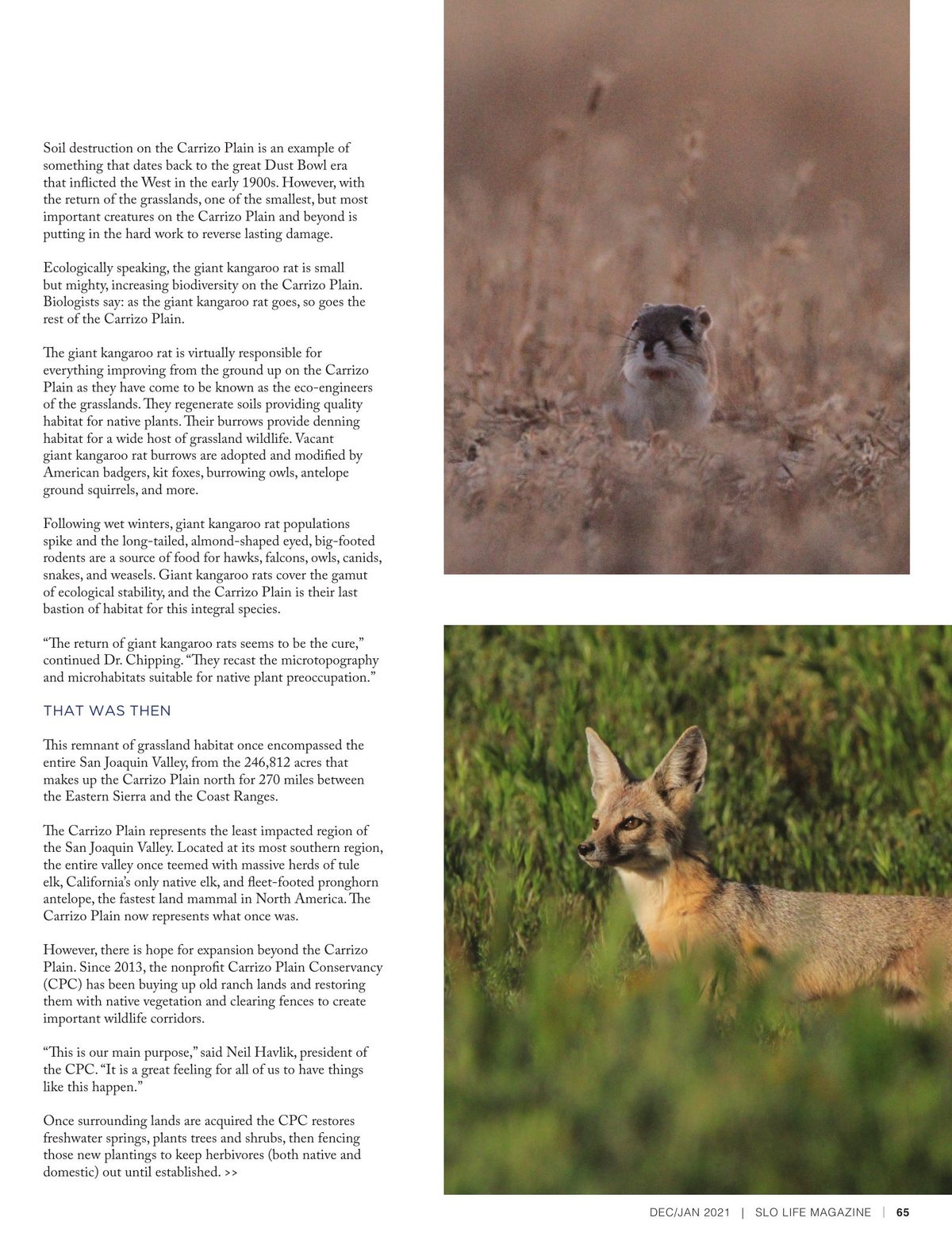 Page 65