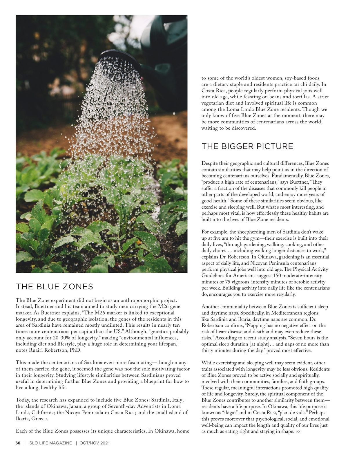 Page 60