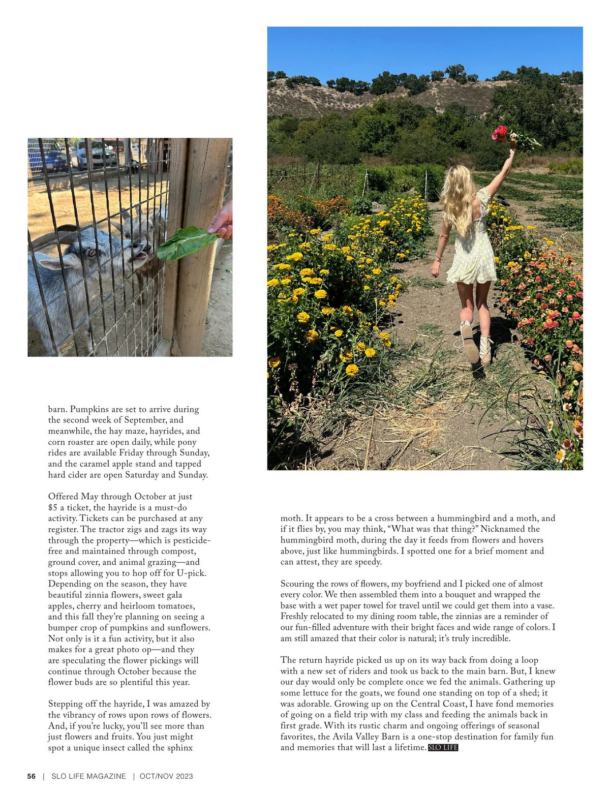 Page 56