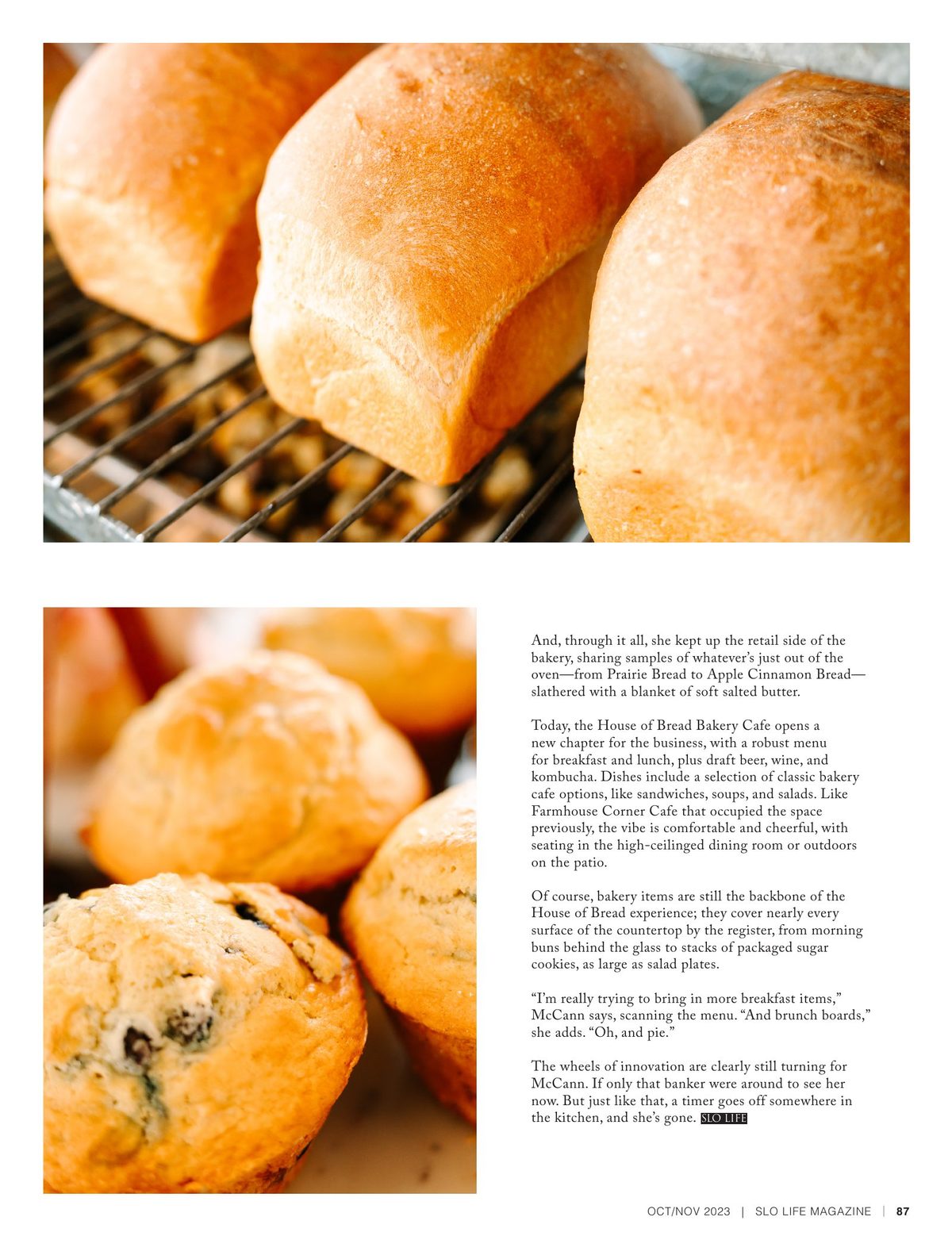 Page 87