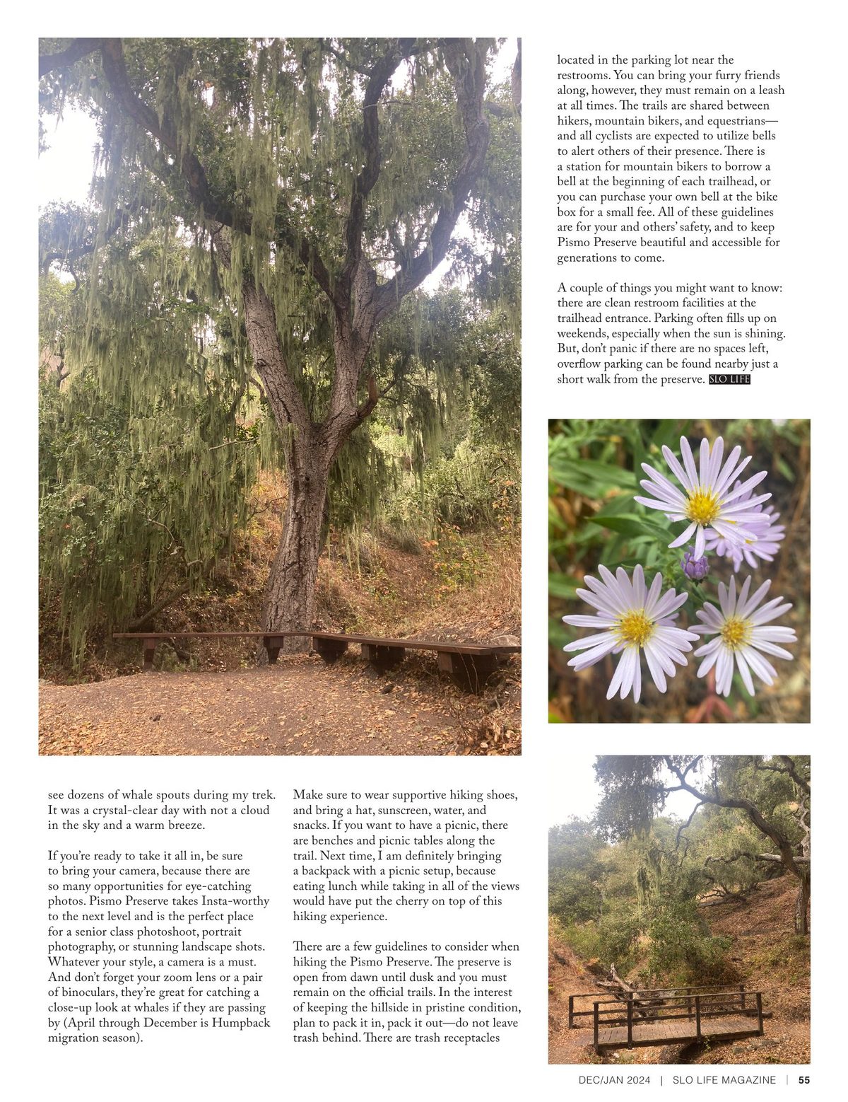 Page 55