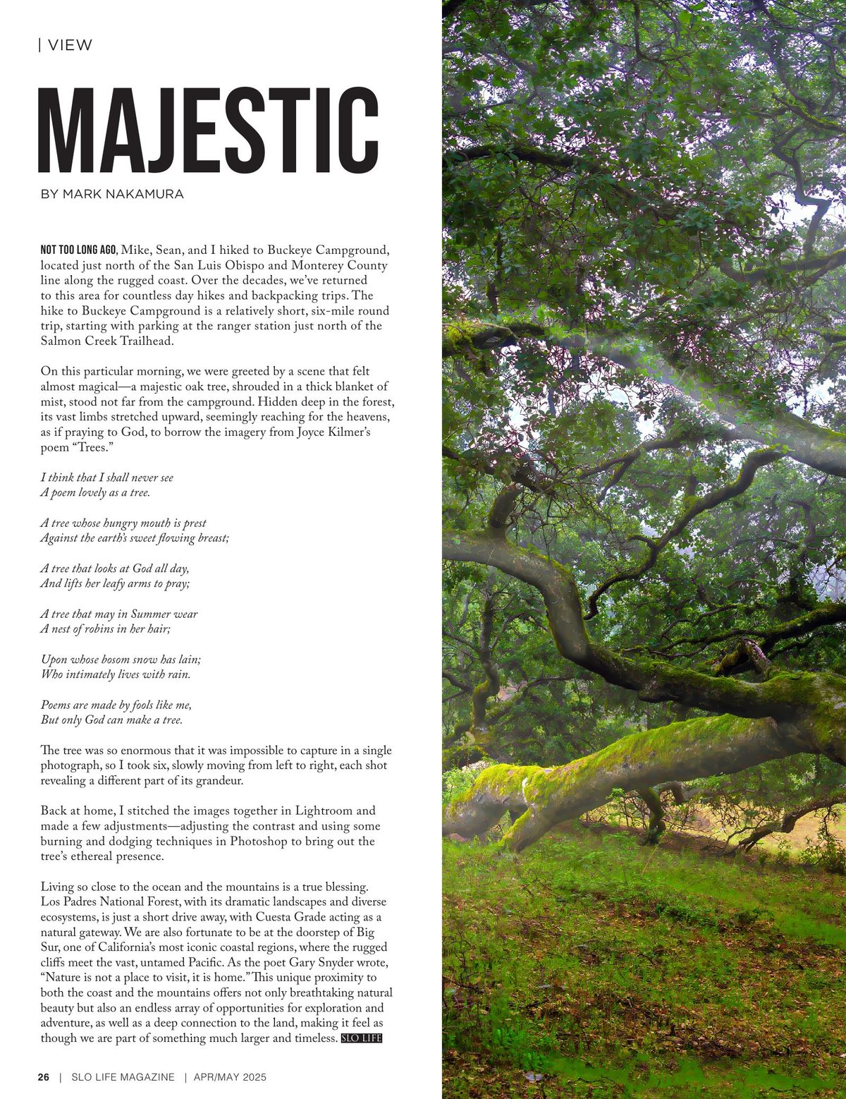 Page 26