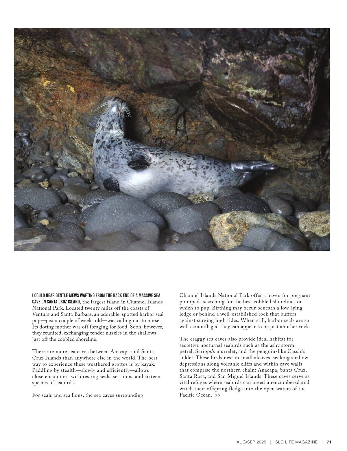 Page 71