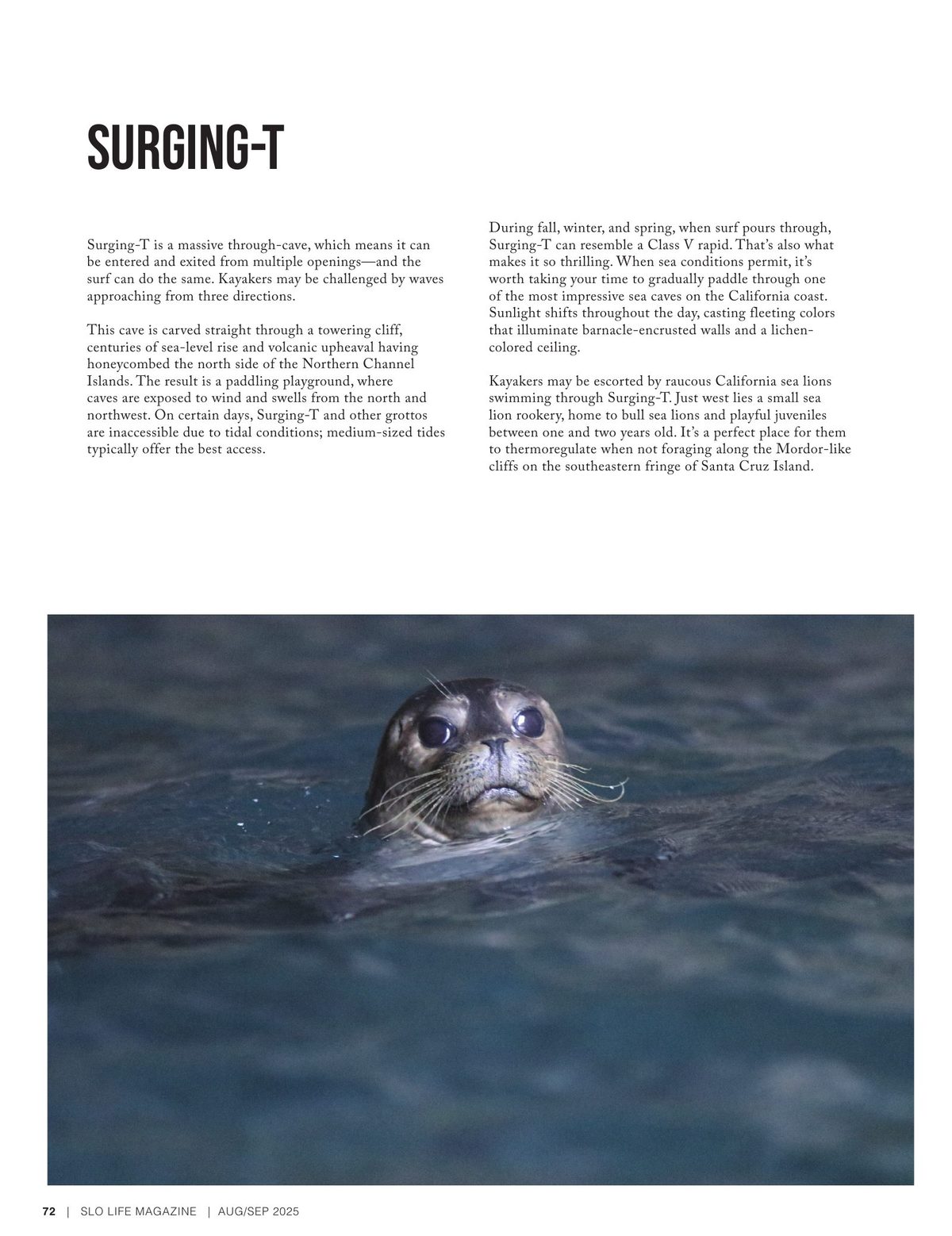 Page 72
