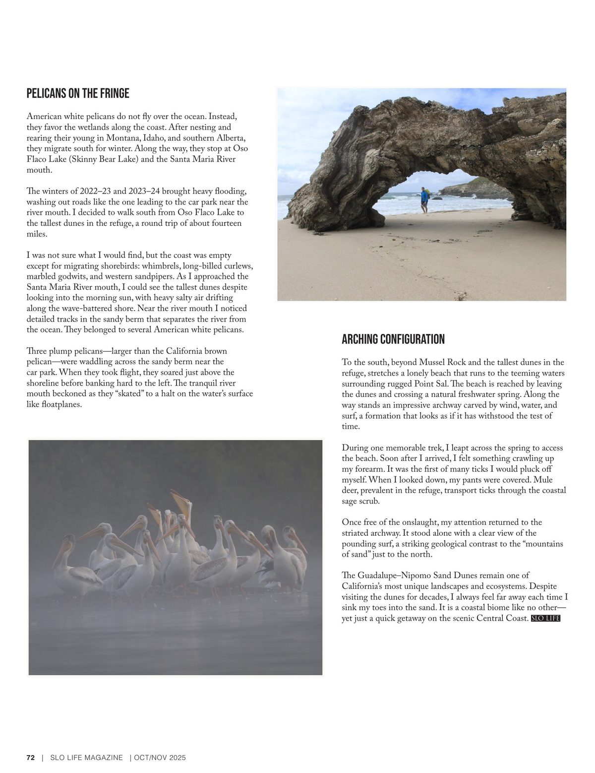 Page 72