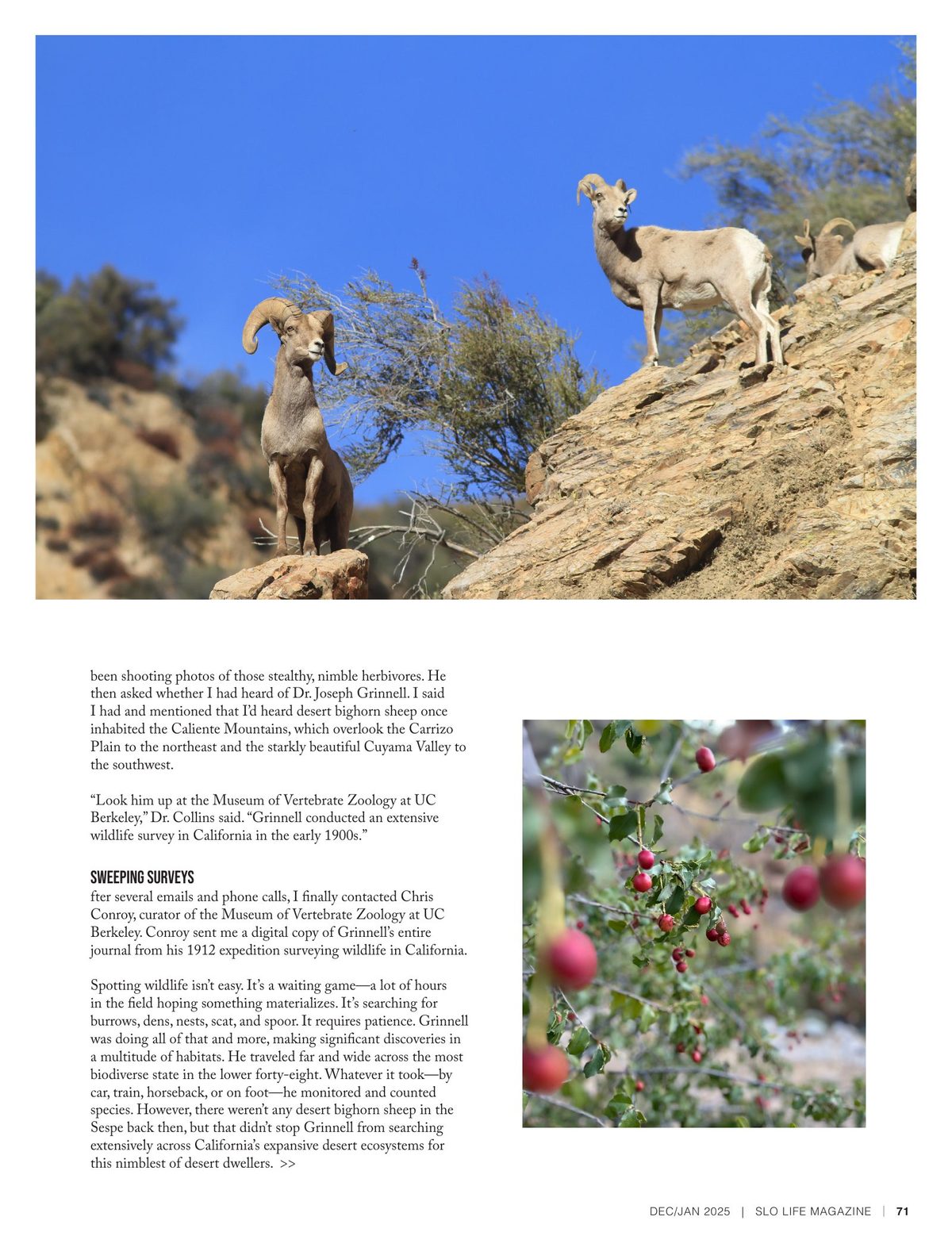 Page 71