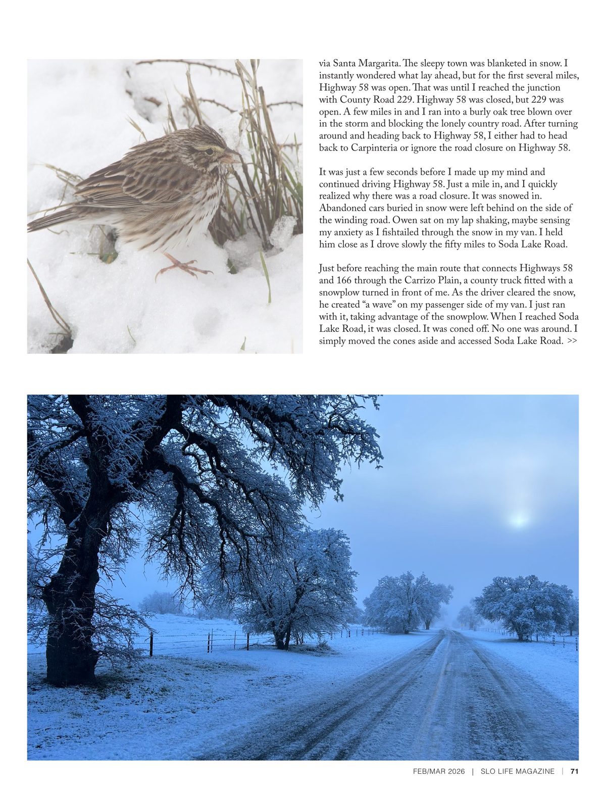 Page 71