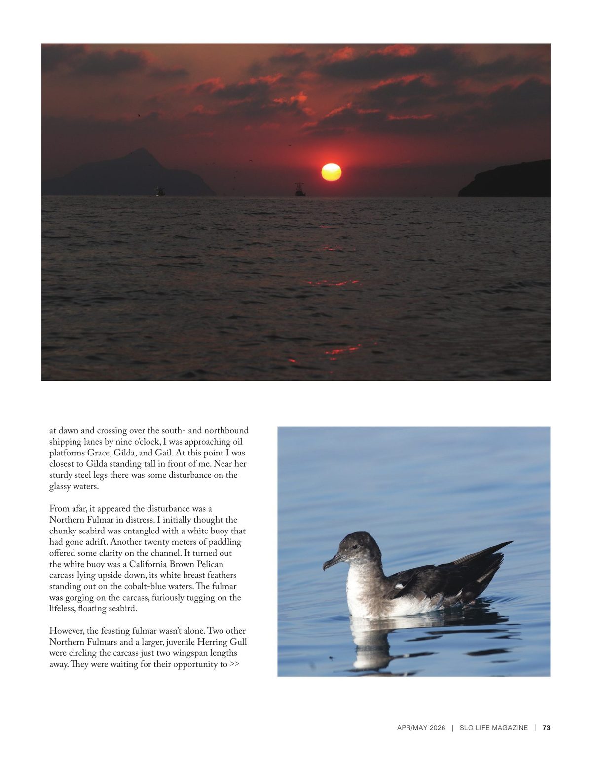 Page 73