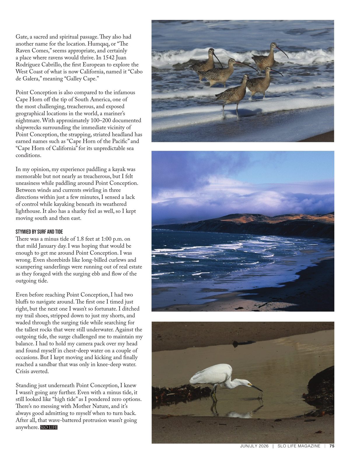 Page 75